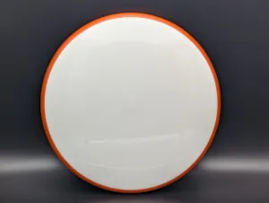 Photo of this disc, Neutron, 174 g, White 2, full size