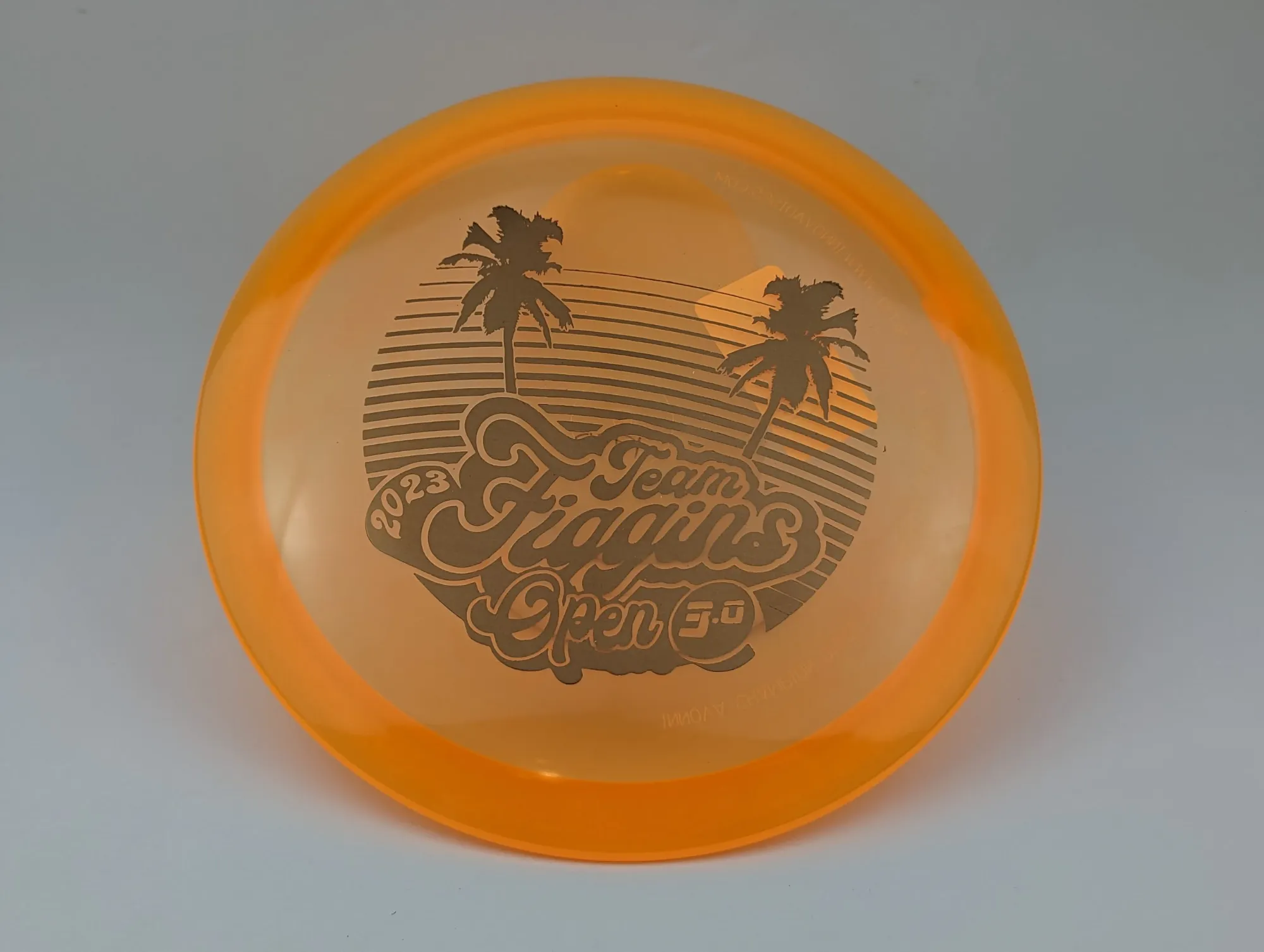 Photo of this disc, Champion, 173 g