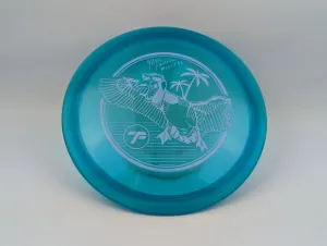 Photo of this disc, C-Line, 174 g, full size