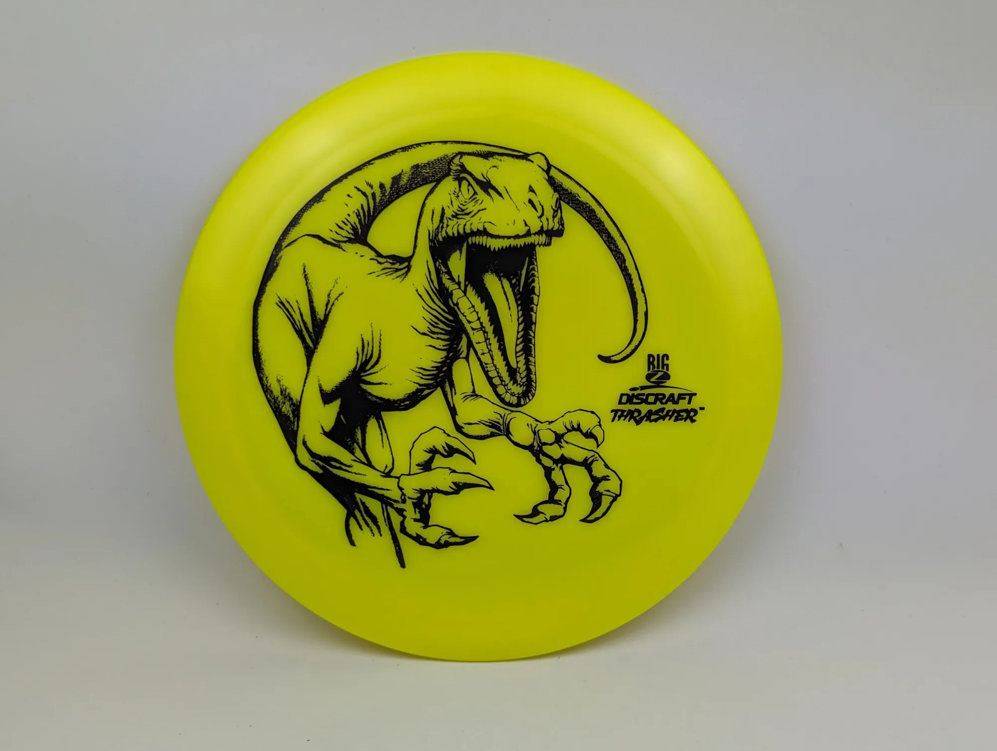 Photo of this disc, Big Z, 173-174 g, Yellow/Black, D7006