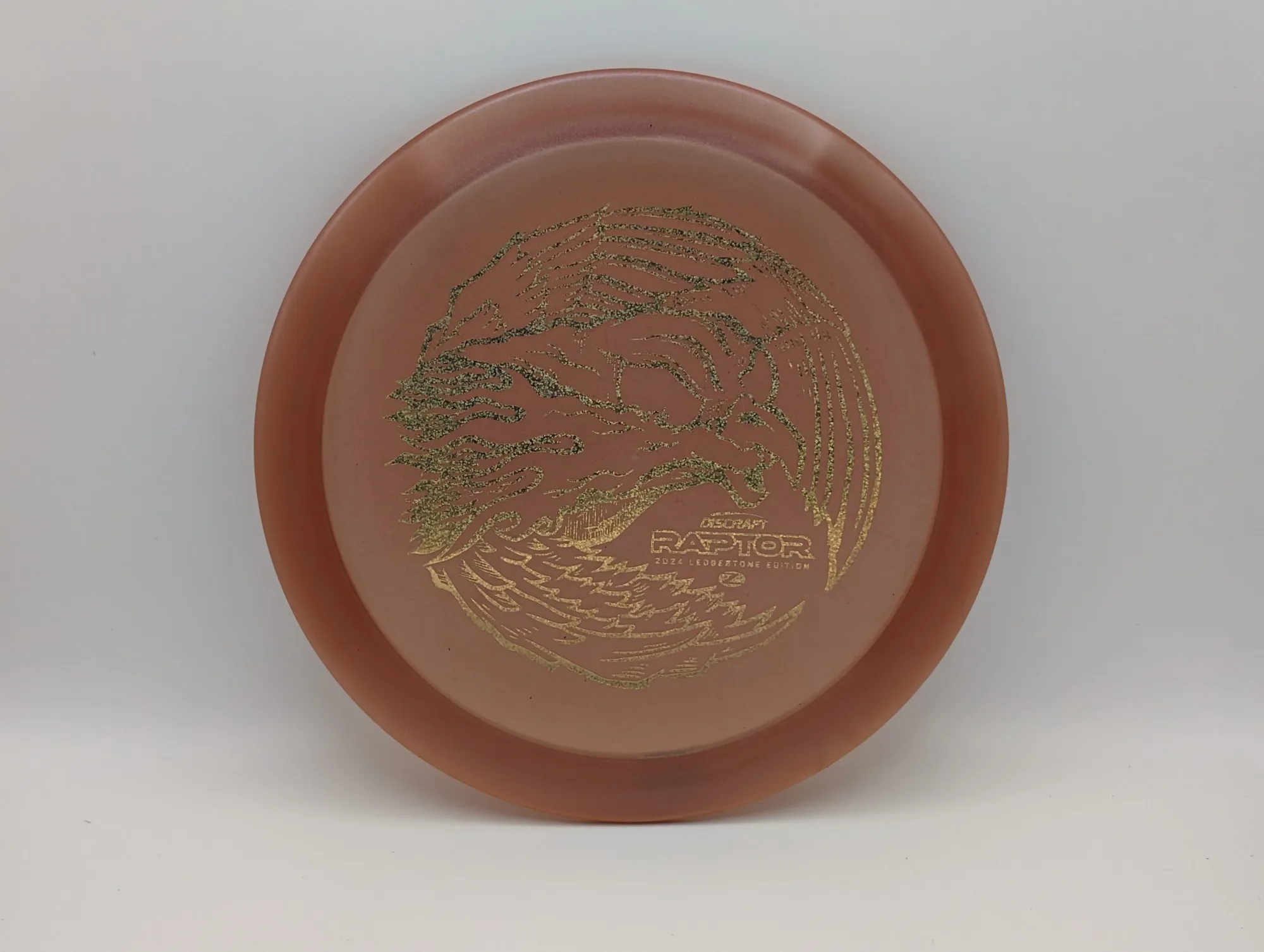 Photo of this disc, Colorshift Z, 173-174 g