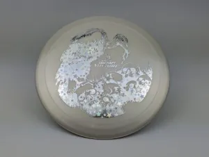Photo of this disc, Big Z, 173-174 g, White/Stars, full size