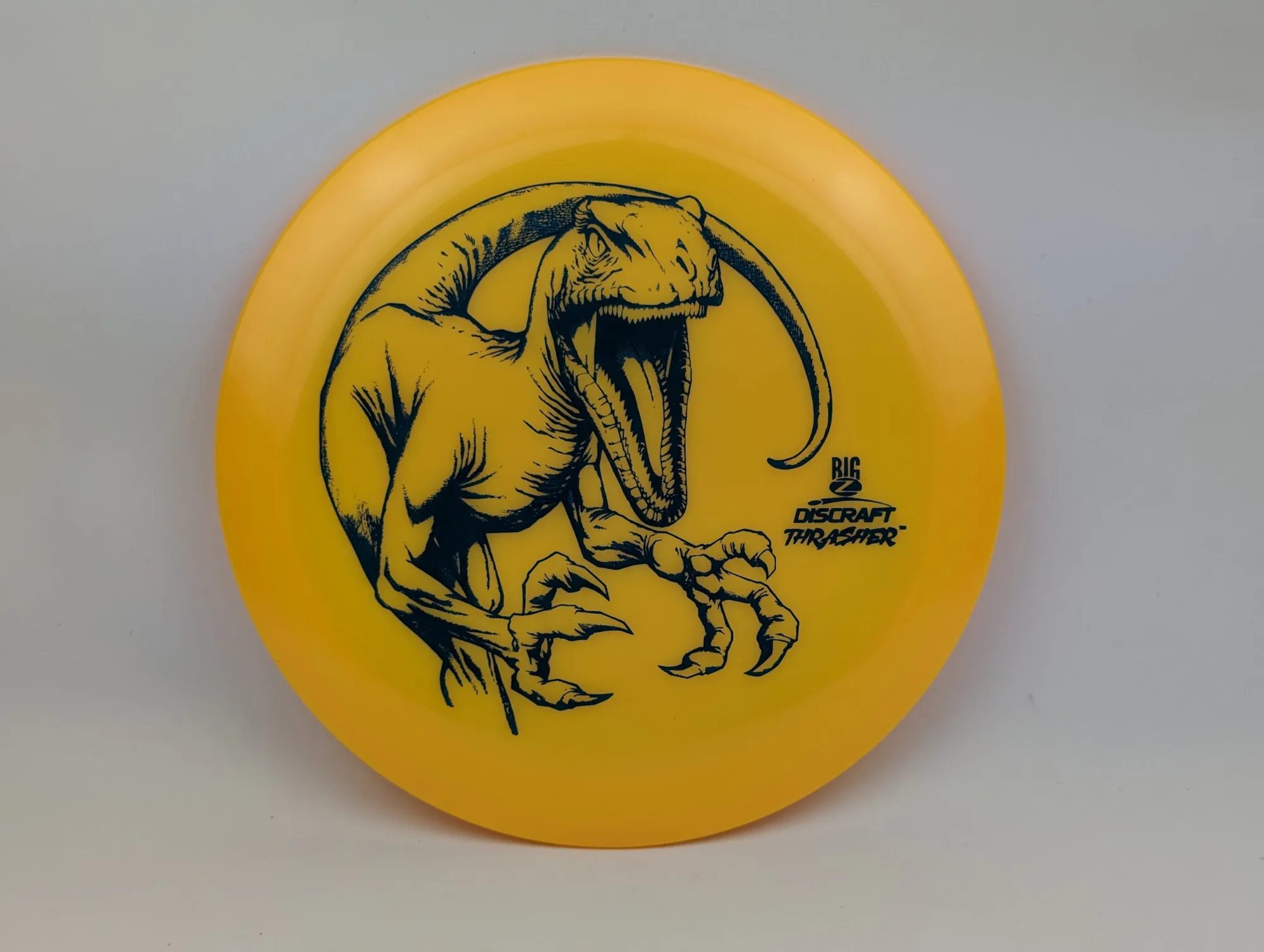 Photo of this disc, Big Z, 170-172 g, Yellow/Black, D7003