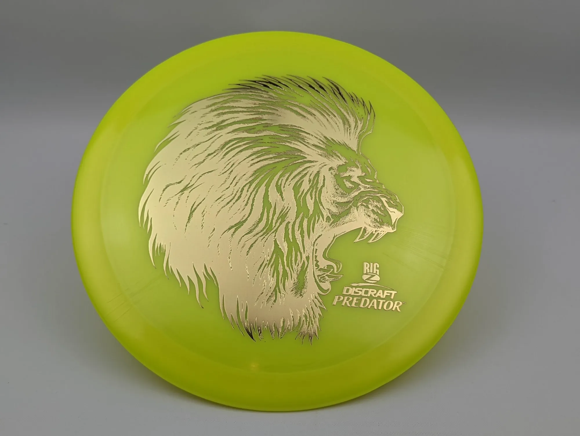 Photo of this disc, Big Z, 170-172 g