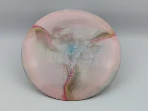 Photo of this disc, 173-174 g, full size